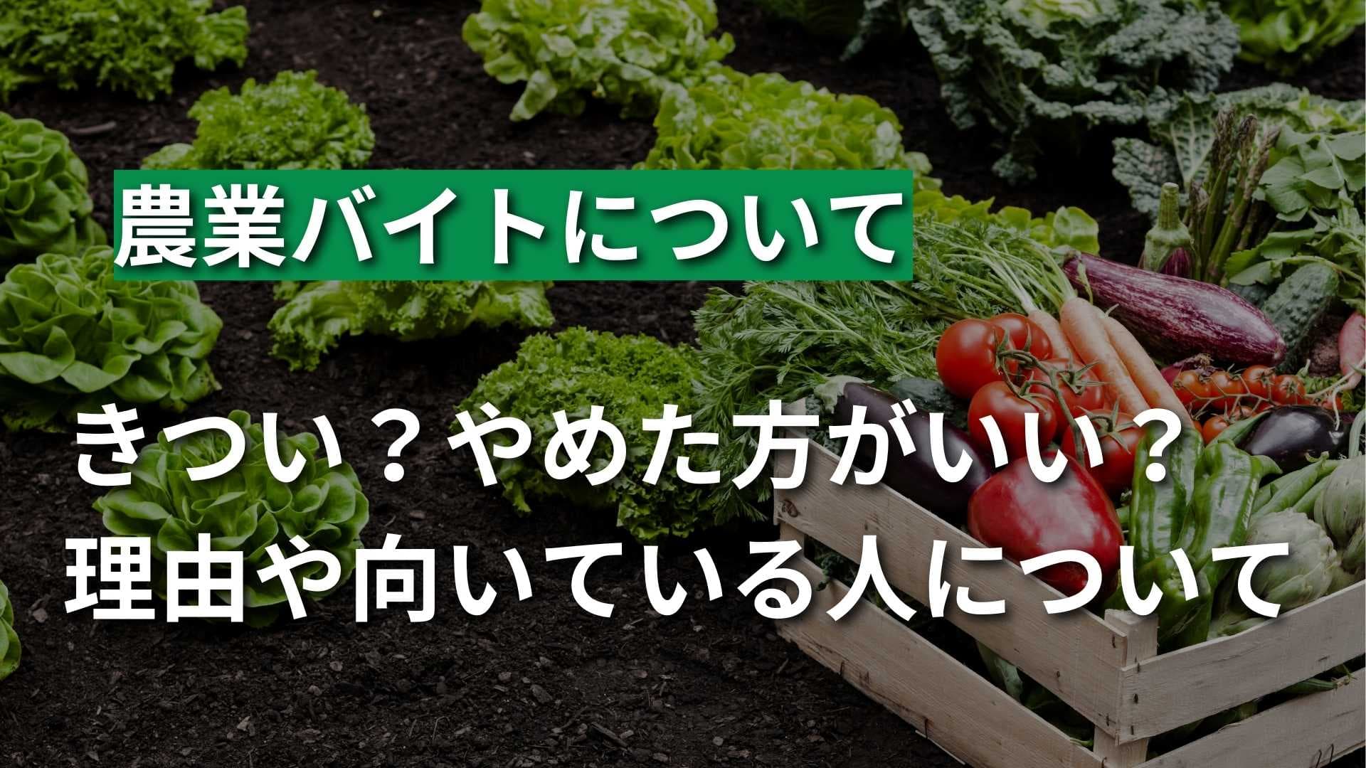 【農業バイトはやめとけ？】きつい理由や向いている人について解説