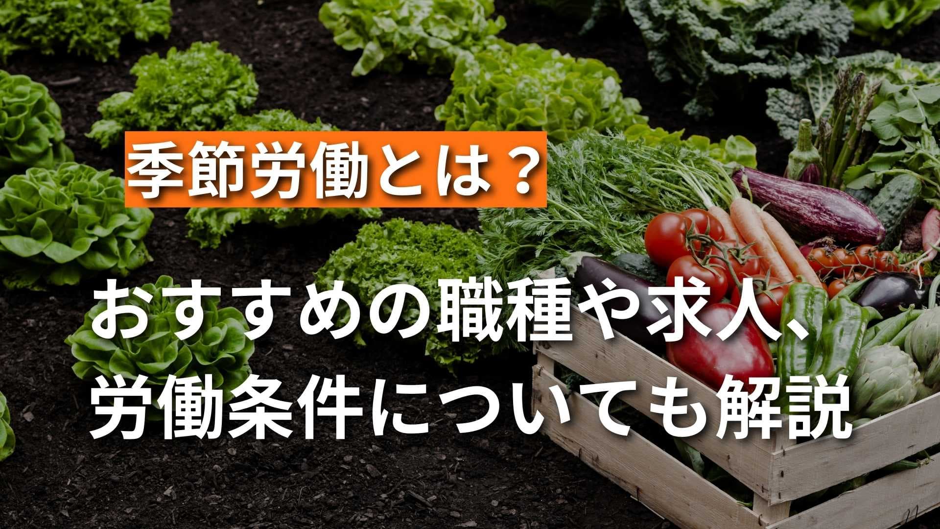 【季節労働の求人とは？】おすすめの職種や応募条件を網羅的に解説